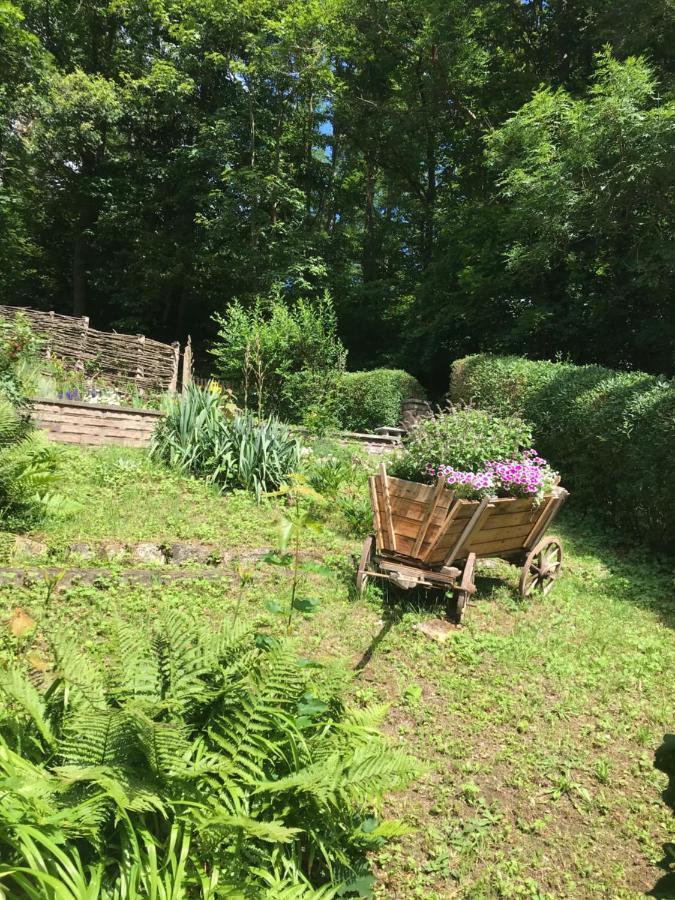 Ferienhaus Am Wald Wendehausen المظهر الخارجي الصورة