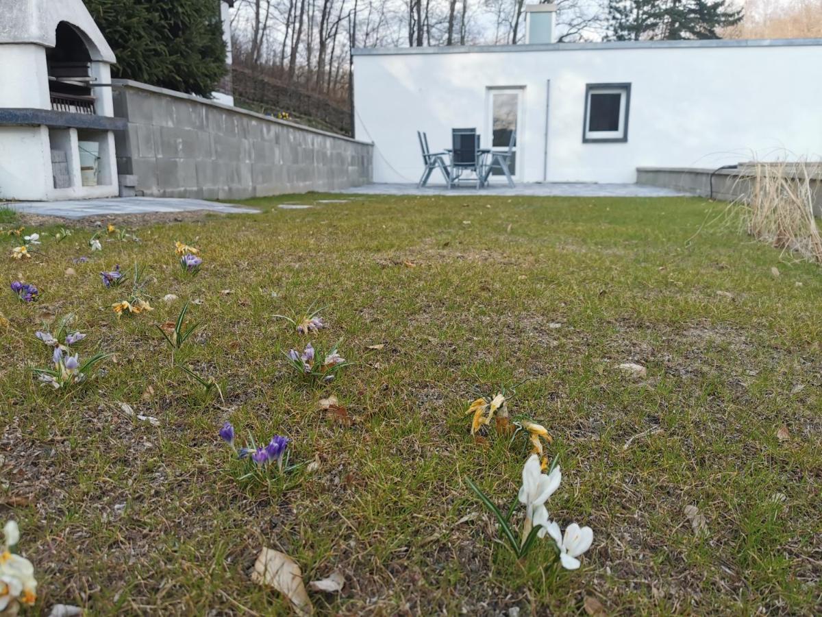 Ferienhaus Am Wald Wendehausen المظهر الخارجي الصورة
