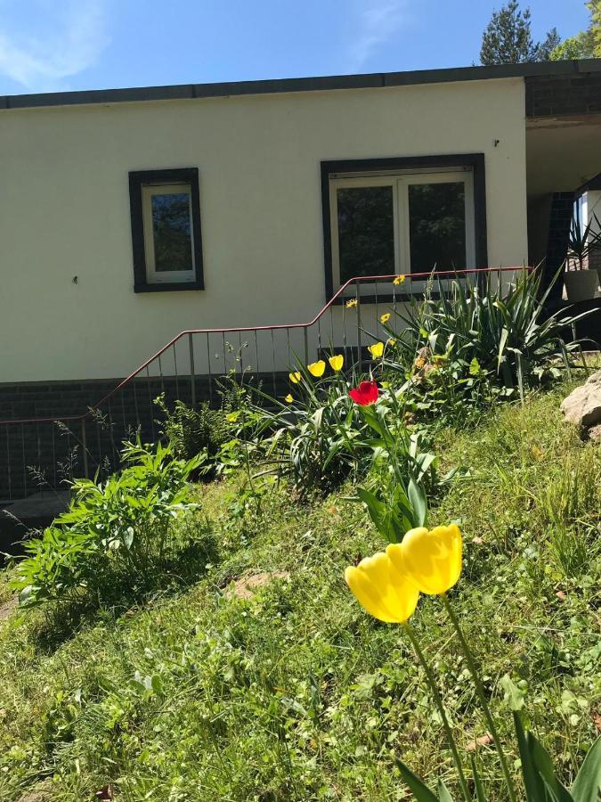 Ferienhaus Am Wald Wendehausen المظهر الخارجي الصورة